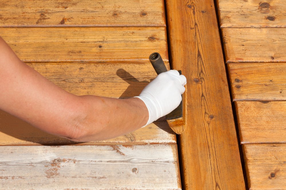 Ultimate Overview: Shashel as a Complete Wood Protection Solution